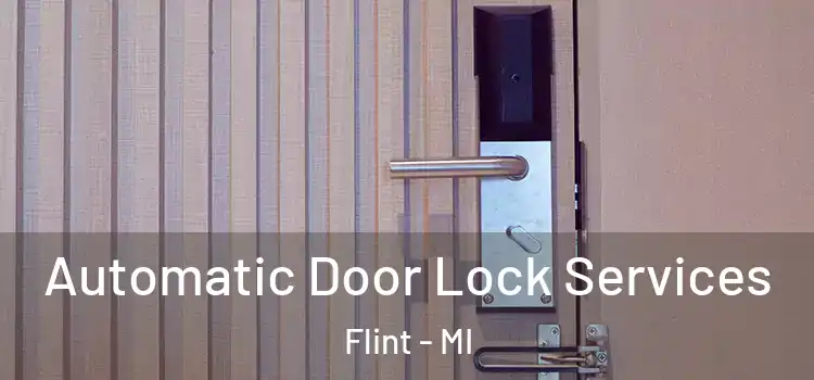 Automatic Door Lock Services Flint - MI