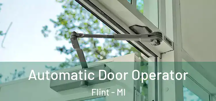 Automatic Door Operator Flint - MI