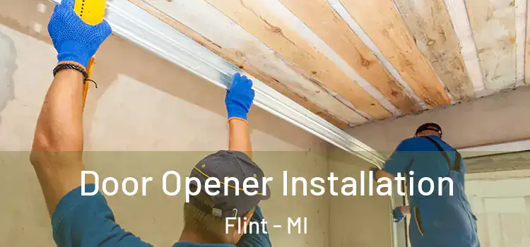 Door Opener Installation Flint - MI