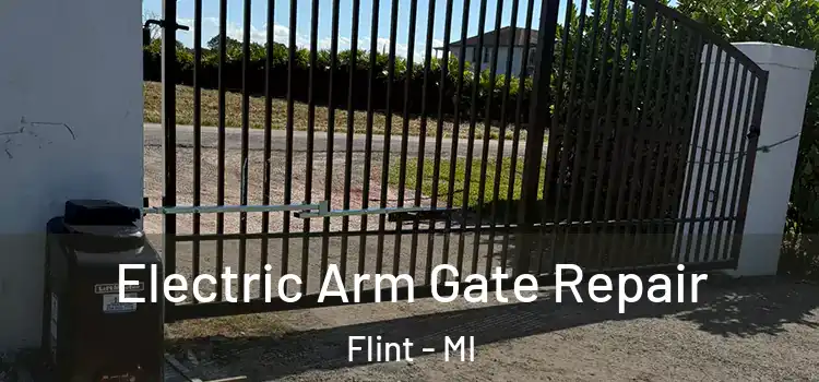 Electric Arm Gate Repair Flint - MI