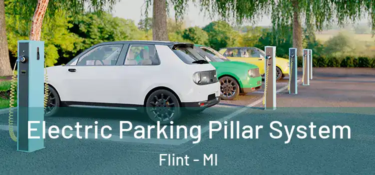  Electric Parking Pillar System Flint - MI