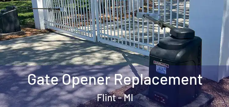 Gate Opener Replacement Flint - MI
