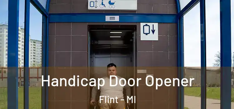 Handicap Door Opener Flint - MI