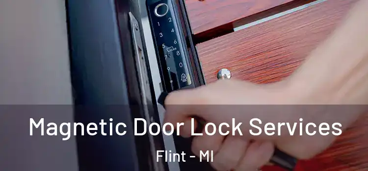 Magnetic Door Lock Services Flint - MI