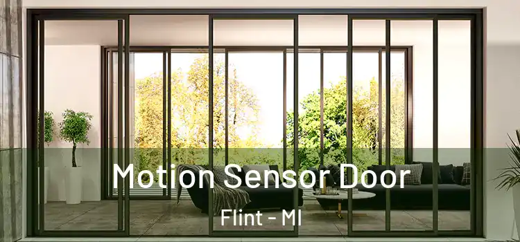 Motion Sensor Door Flint - MI