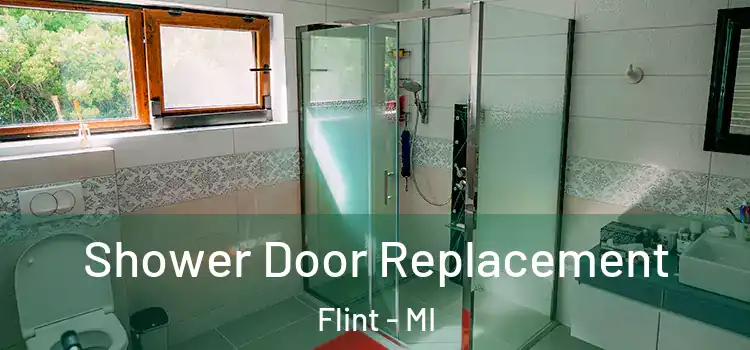 Shower Door Replacement Flint - MI