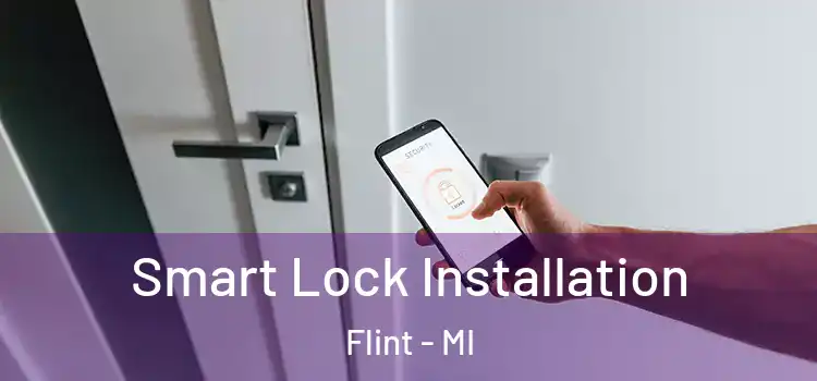 Smart Lock Installation Flint - MI